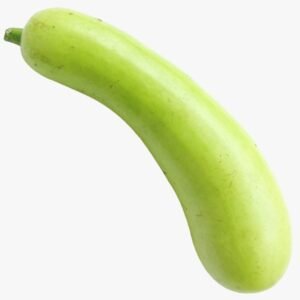 bottle gourd